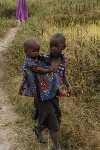 DSC_3152 (Large).JPG